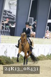 24R13_08431 thumbnail