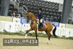 24R13_08434 thumbnail