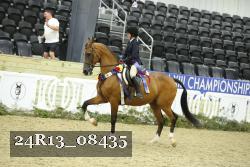 24R13_08435 thumbnail