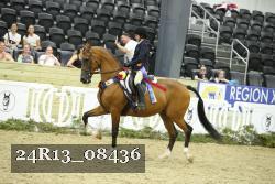 24R13_08436 thumbnail
