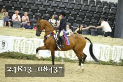 24R13_08437 thumbnail