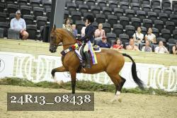24R13_08438 thumbnail