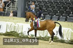 24R13_08439 thumbnail
