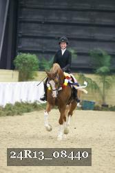 24R13_08440 thumbnail