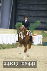 24R13_08441 thumbnail