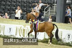 24R13_08442 thumbnail