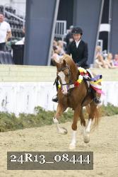 24R13_08444 thumbnail
