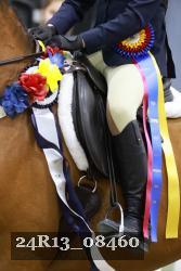 24R13_08460 thumbnail