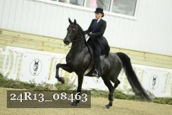 24R13_08463 thumbnail