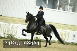 24R13_08464 thumbnail
