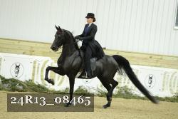 24R13_08465 thumbnail