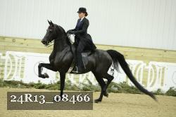 24R13_08466 thumbnail