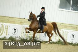 24R13_08467 thumbnail