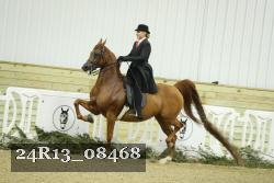 24R13_08468 thumbnail