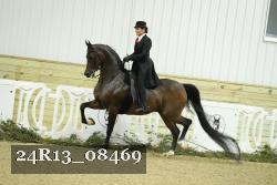 24R13_08469 thumbnail