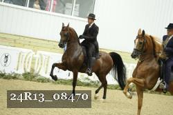 24R13_08470 thumbnail