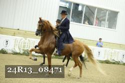 24R13_08471 thumbnail