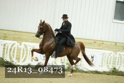 24R13_08473 thumbnail