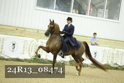 24R13_08474 thumbnail