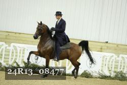24R13_08477 thumbnail