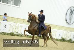 24R13_08478 thumbnail