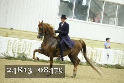 24R13_08479 thumbnail
