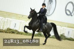 24R13_08480 thumbnail