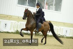 24R13_08481 thumbnail