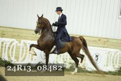 24R13_08482 thumbnail