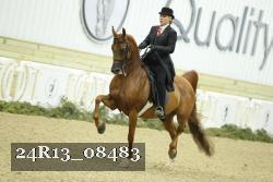 24R13_08483 thumbnail