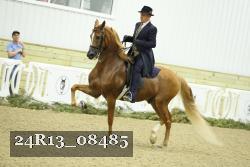 24R13_08485 thumbnail