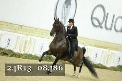 24R13_08486 thumbnail