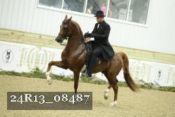24R13_08487 thumbnail