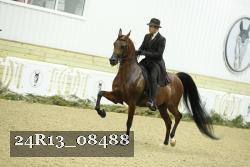 24R13_08488 thumbnail