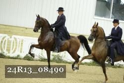 24R13_08490 thumbnail