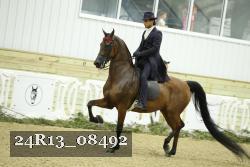 24R13_08492 thumbnail