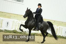 24R13_08493 thumbnail