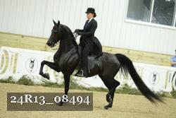 24R13_08494 thumbnail