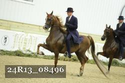 24R13_08496 thumbnail
