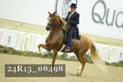 24R13_08498 thumbnail