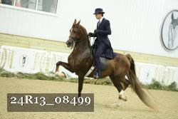 24R13_08499 thumbnail