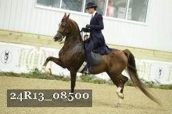 24R13_08500 thumbnail