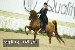24R13_08501 thumbnail