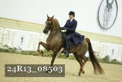 24R13_08503 thumbnail