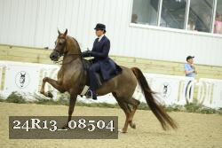 24R13_08504 thumbnail