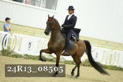 24R13_08505 thumbnail