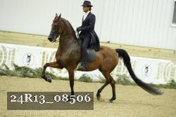 24R13_08506 thumbnail
