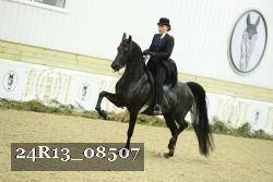 24R13_08507 thumbnail