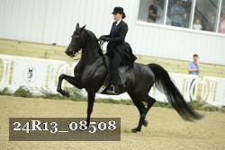 24R13_08508 thumbnail