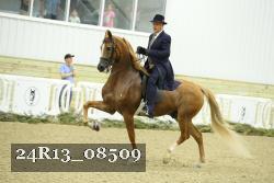 24R13_08509 thumbnail